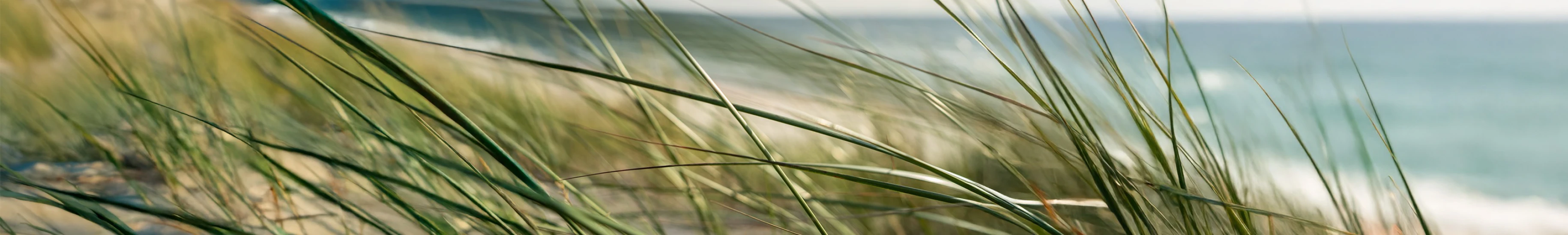 Zeit für sich selbst im Vitae Wellnessresort Goes